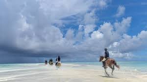 Half Day Horseback Riding Tour from Matemwa – Ultimate Zanzibar Coastal Village Adventure