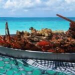 barbecue bamboo zanzibar