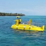 cruise zanzibar submarine