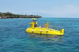 cruise zanzibar submarine