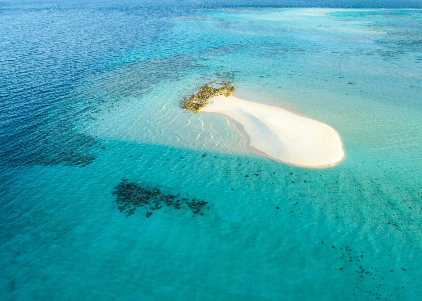 Ultimate Half-Day Low Tide Sandbank Escape from Zanzibar Airport – Crystal Waters & Island Serenity Experience 2 Low Tide Sandbank Escape