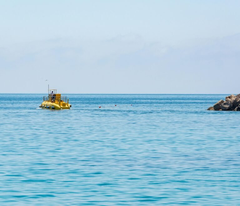 Half-Day Semi-Submarine Cruise Tour from Kiwengwa