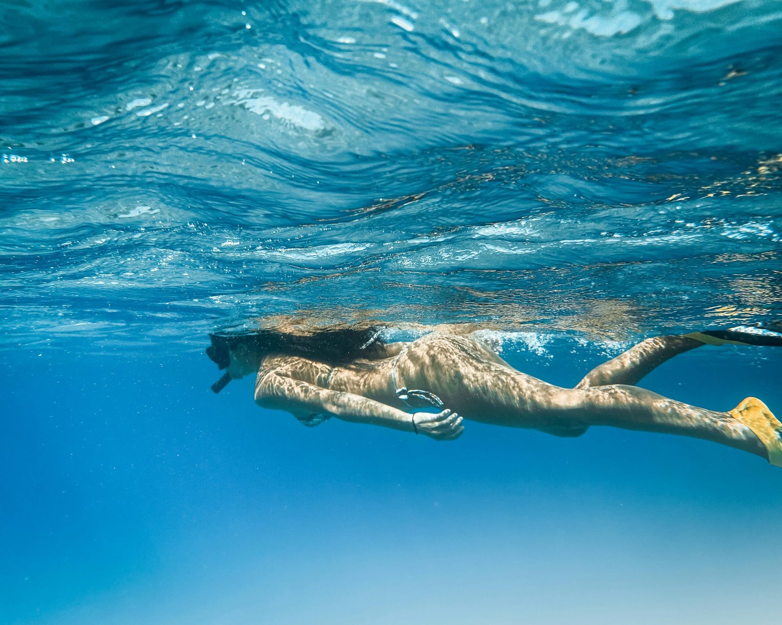 mnemba island snorkeling tour