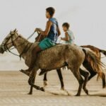 Best Value From $500 per person Plan Your Safari