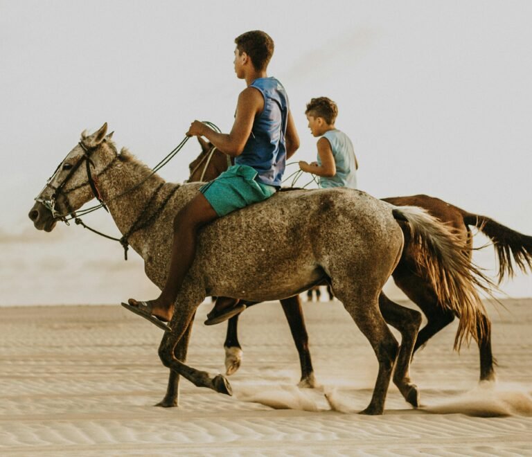 Best Value From $500 per person Plan Your Safari