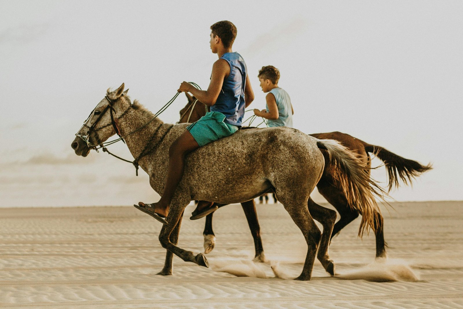 Best Value From $500 per person Plan Your Safari