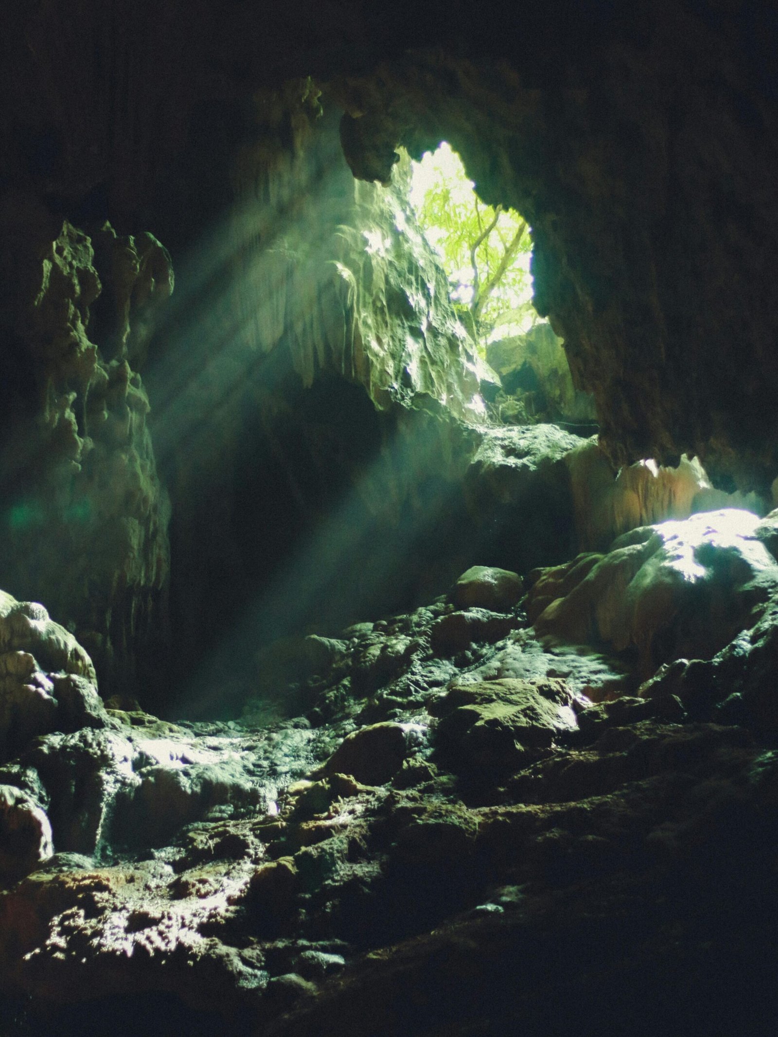 The best Half-Day Maalum Natural Cave Experience from Paje – Swim in Zanzibar’s Hidden Limestone Oasis 3 Maalum Natural Cave Experience