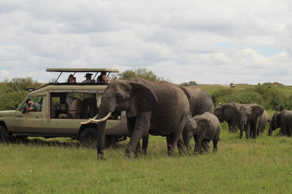tanzania Green Season Safari