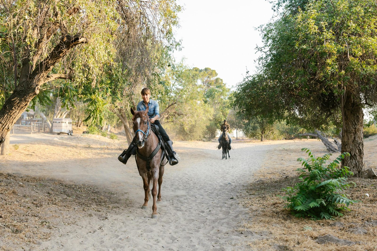 Half-Day Horseback Riding Tour from Matemwa