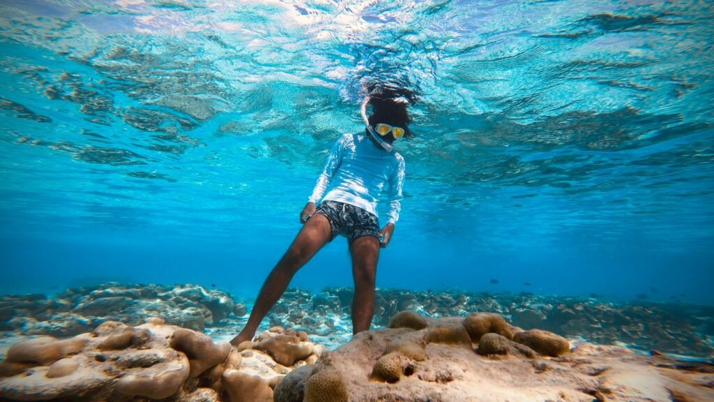 mnemba island snorkeling tour