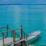 1-Day Safari Blue Experience