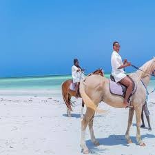 riding horse zanzibr
