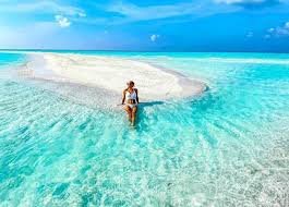 1-Day Safari Blue Tour from Mtende – Ultimate Zanzibar Sea Adventure 2 safari blue zanzibar 1