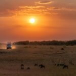 5 Days Private Great Migration Midrange Safari from Nairobi