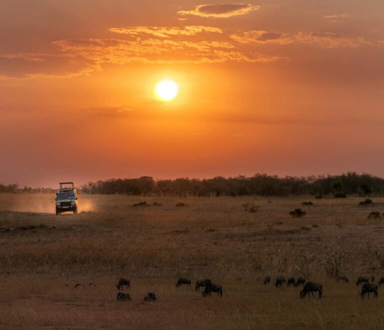 5 Days Private Great Migration Midrange Safari from Nairobi