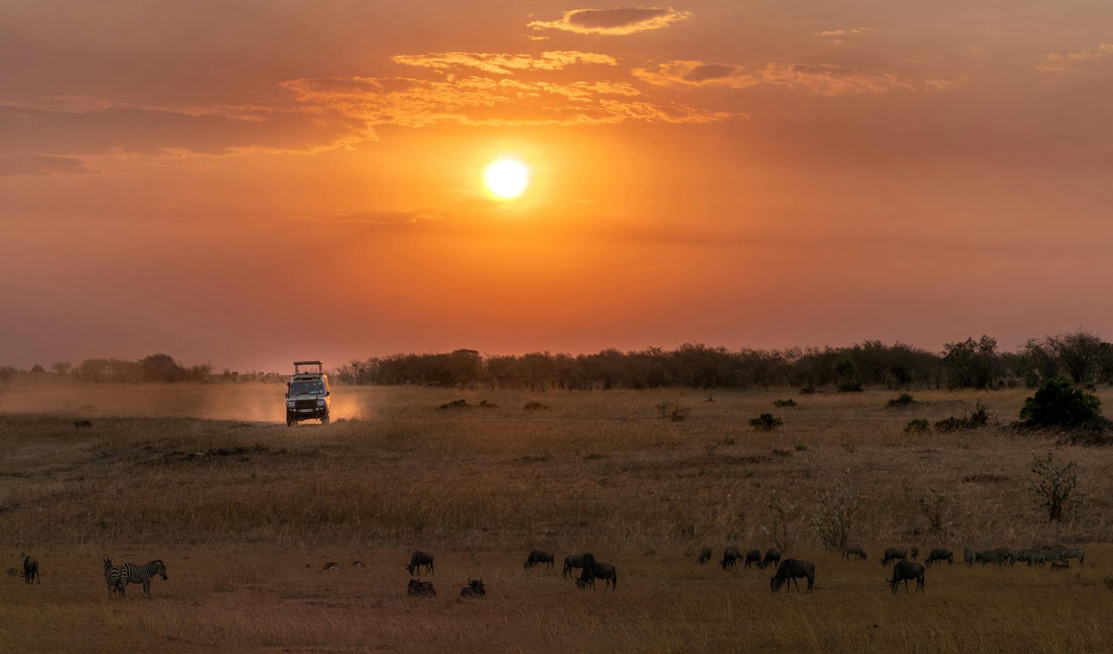 5 Days Private Great Migration Midrange Safari from Nairobi