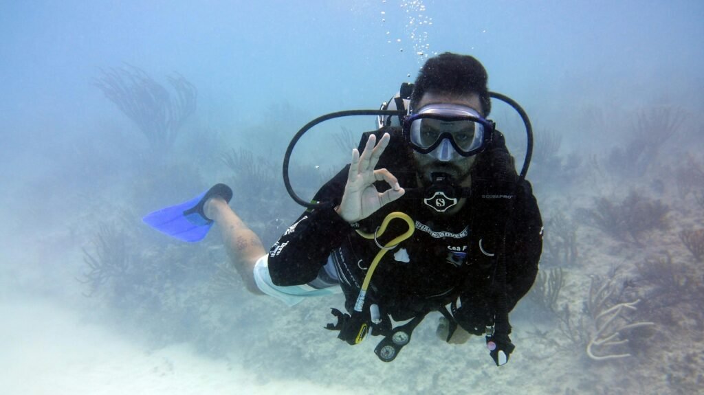 Half-Day Scuba Diving Tour from Kiwengwa – Explore Zanzibar’s Underwater Magic 3 pexels diego sandoval 3158170 4765931