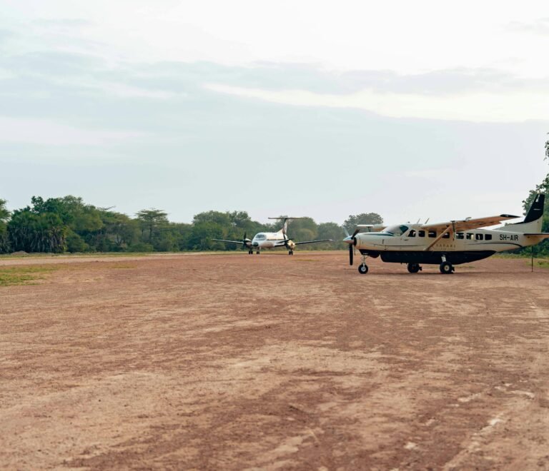 3-Day Katavi Budget Fly-In Safari