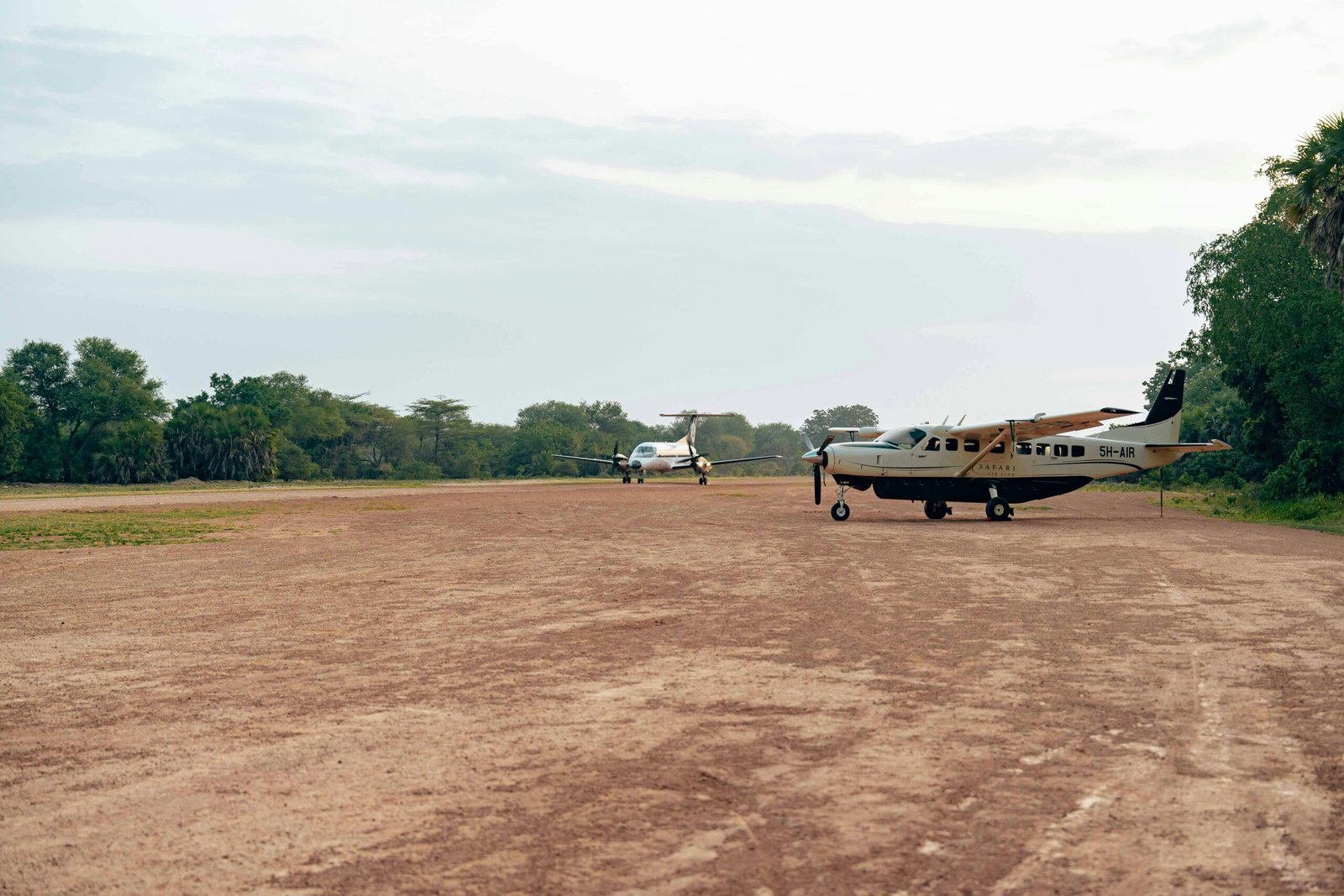 3-Day Katavi Budget Fly-In Safari