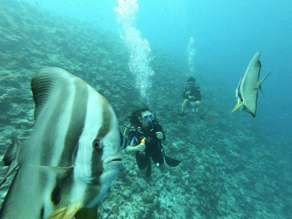 Half-Day Scuba Diving Tour from Kiwengwa – Explore Zanzibar’s Underwater Magic 2 Half-Day Scuba Diving Tour