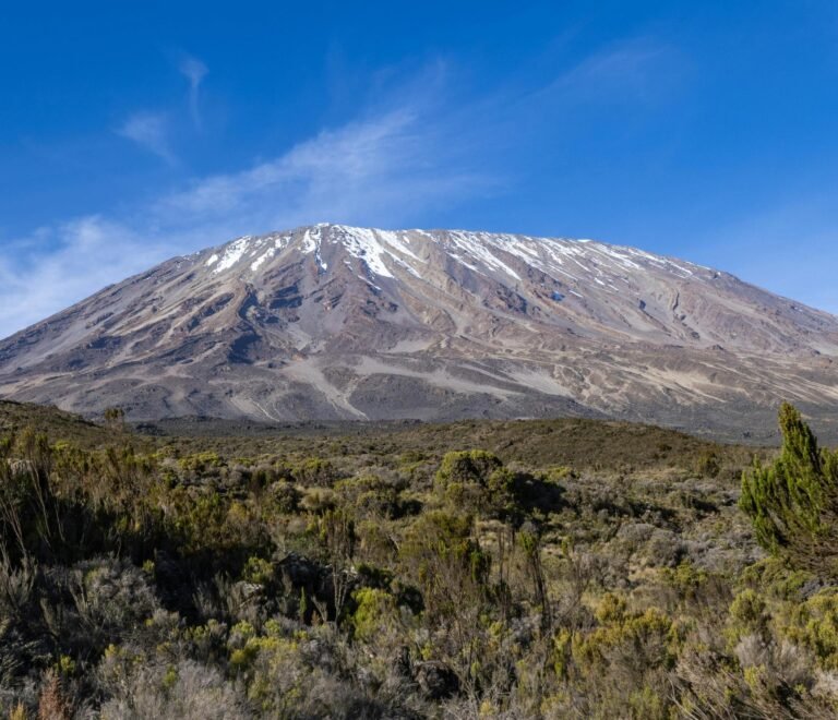 7 Days Machame Route Full Moon Climb